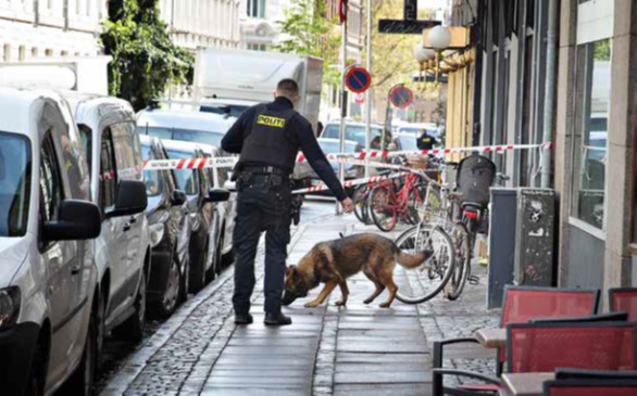Betjent med politihund undersøger Helgolandsgade